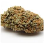 Шишки AK47  (Гидропоника, Бошка) VHQ в Светлограде